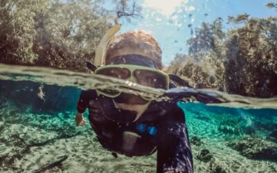 Float Through Beautiful Bonito: The Ecotourism Capital of Brazil