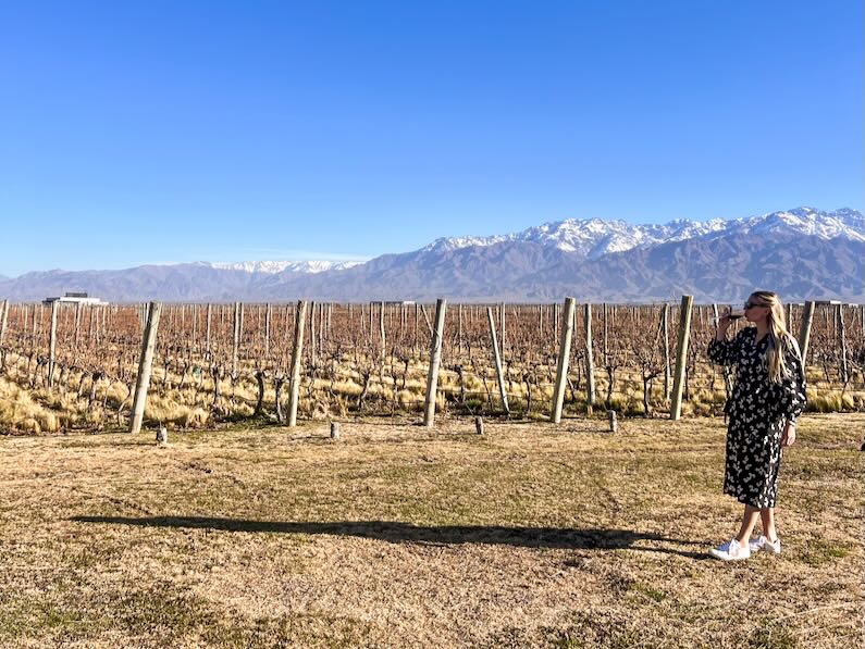 Siete Fuegos in Uco Valley