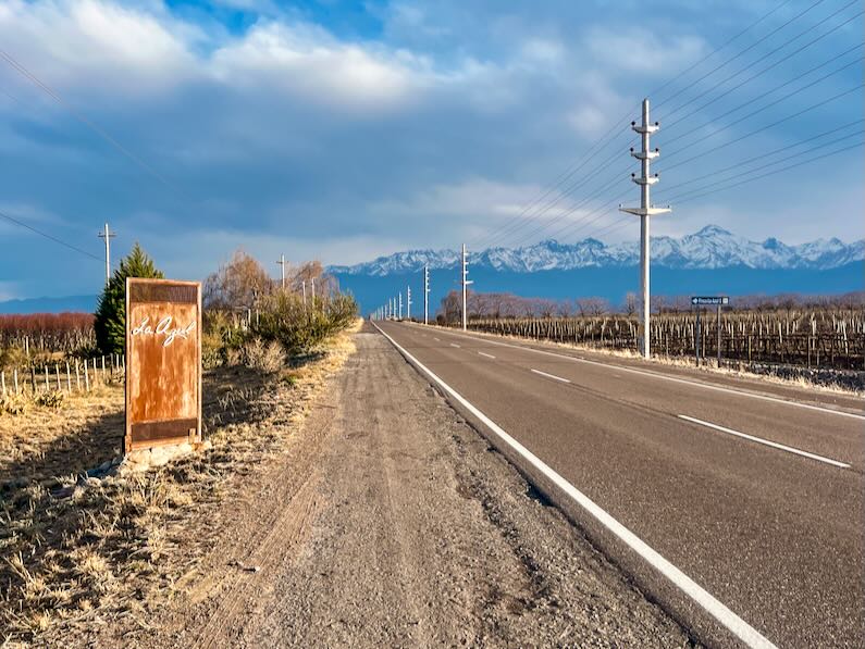 Bodega and El Restó de La Azul