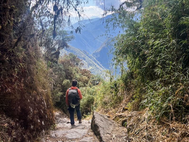 The way down from Phuyupatamarka to Wiñay Wayna