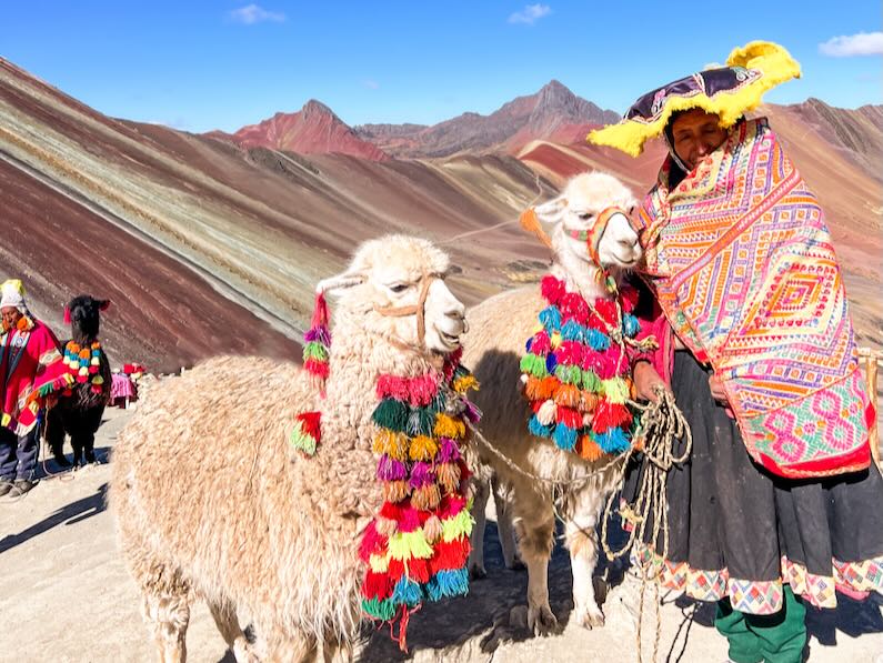 Alpacas at Rainbow Mountain