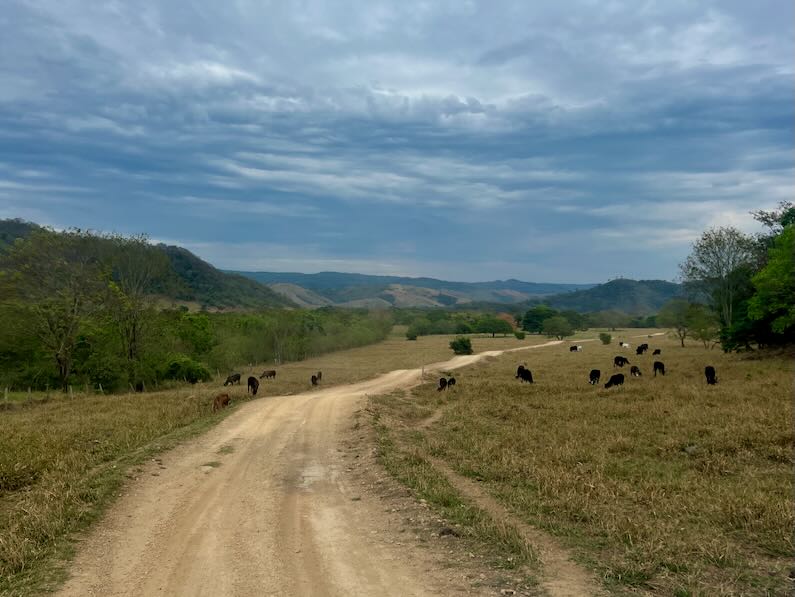 Farmland near Bonito, Brazil