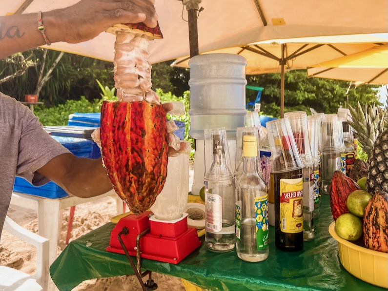 The cocoa fruit in Morro de São Paulo