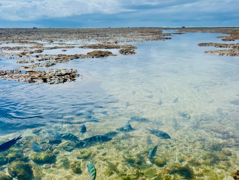 Things to do in Porto de Galinhas, Brazil