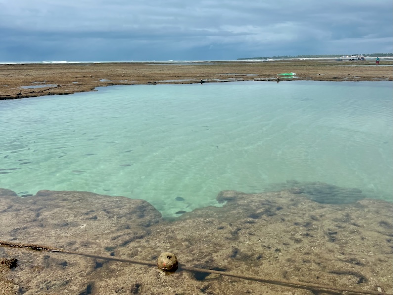 Natural pools in Porto de Galinhas