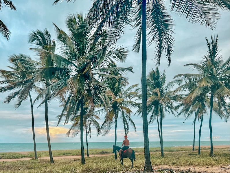 Tours in Porto de Galinhas, Brazil