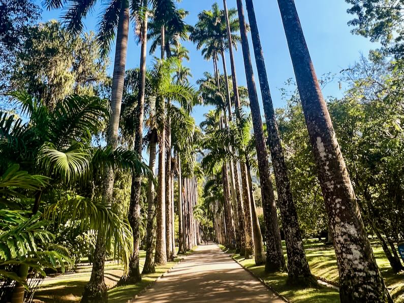 Beautiful walkway in Jardim Botânico in Rio