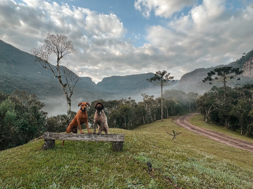 Visit Urubici, Brazil 