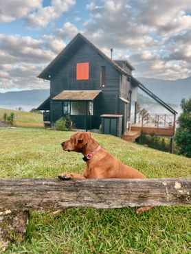 Amazing, dog-friendly Airbnb in Urubici, Brazil