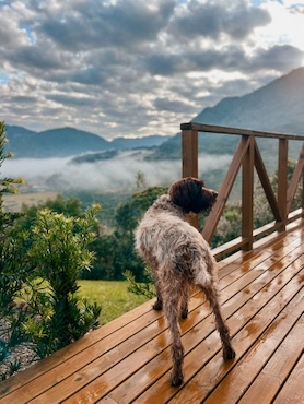 Amazing, dog-friendly Airbnb in Urubici, Brazil