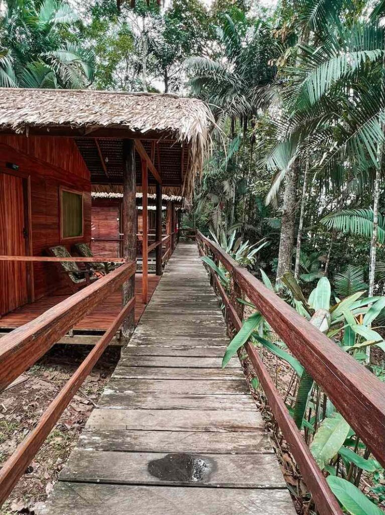 How to visit the dolphin lodge in the Amazon