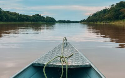 How to visit the Brazilian Amazon: 4-nights in the Jungle at the Dolphin Lodge