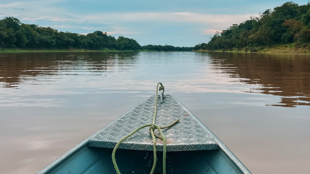 How to visit the Brazilian Amazon: 4-nights in the Jungle at the Dolphin Lodge