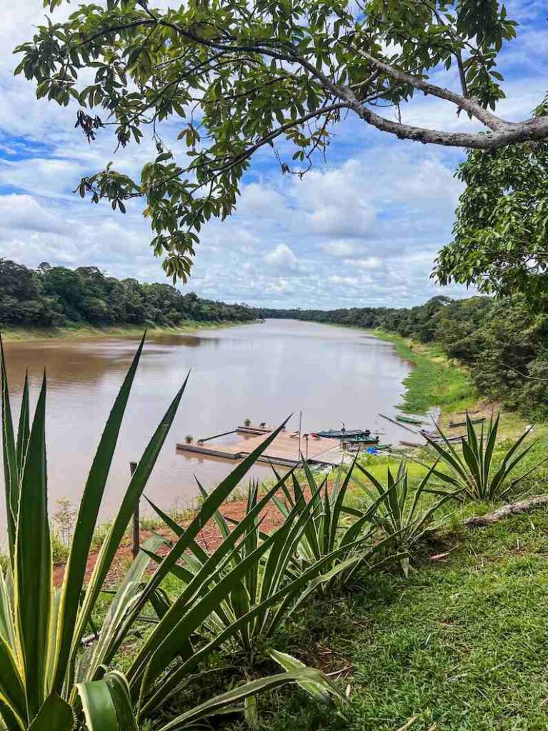 Dolphin Lodge in the Brazilian Amazon