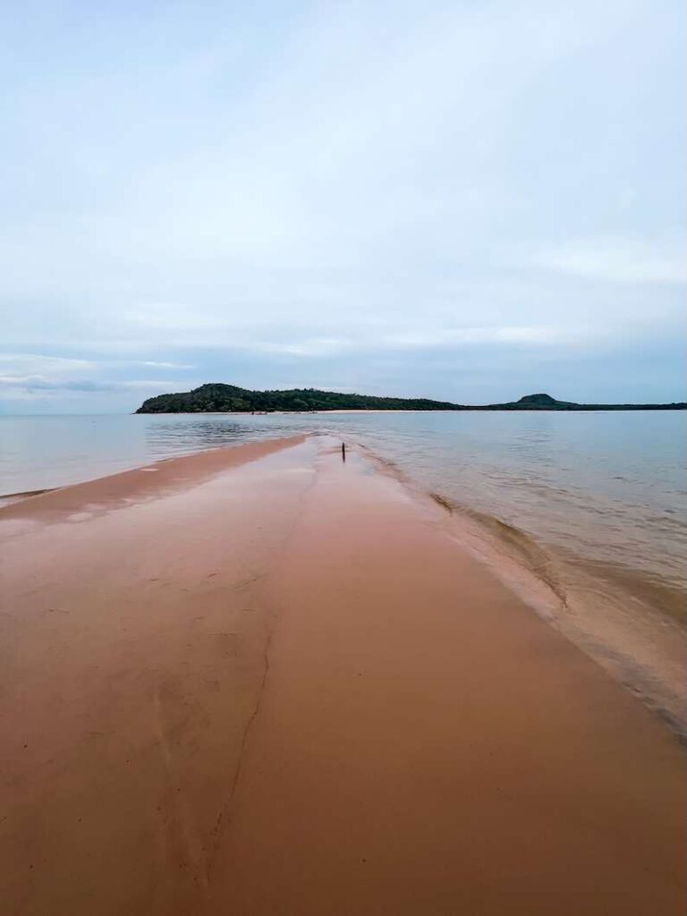 Visit the Brazilian Amazon - Alter do Chão