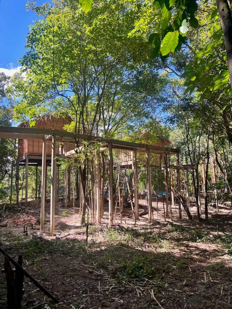 Dolphin Lodge in the Brazilian Amazon