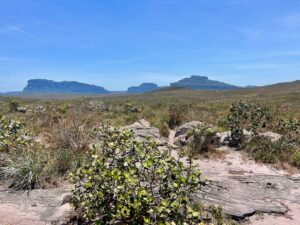 Crossing the Gerais do Rio Preto plain in the Vale do Pati