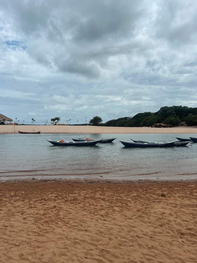 Boat tours in Alter do Chão, Brazil