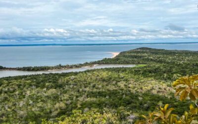 10 Amazing Things to Do in Alter do Chão, Brazil