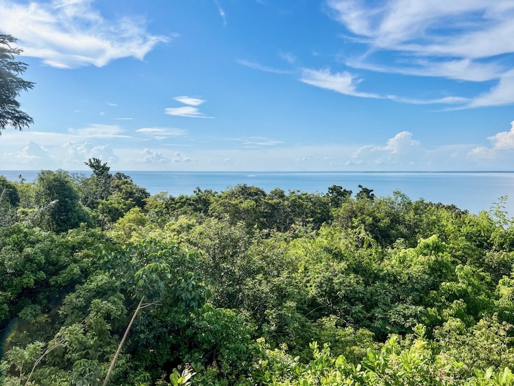 The best river beaches in Alter do Chão