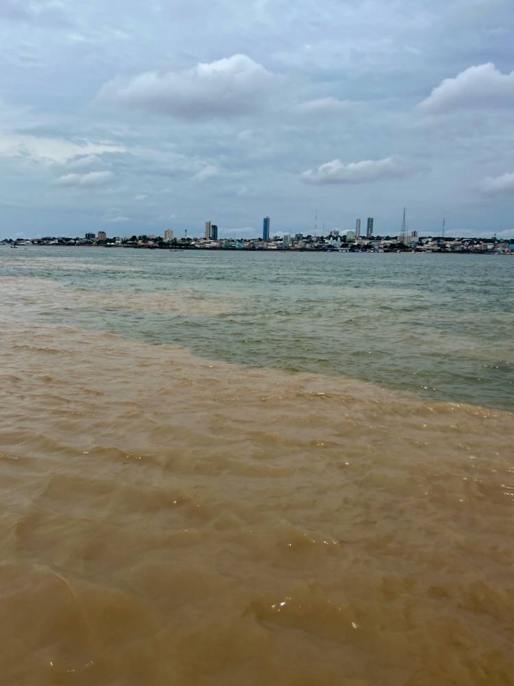 Meeting of the Waters in the Amazon