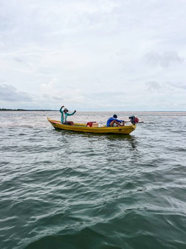 Meeting of the Waters in the Amazon