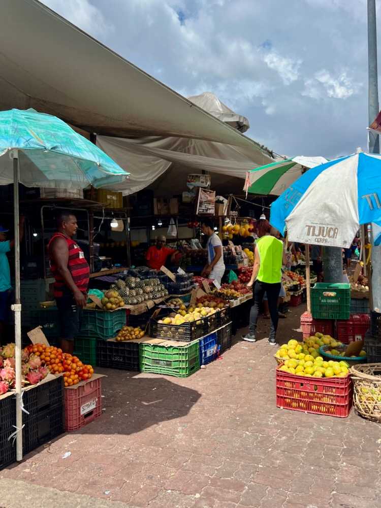 How to visit the markets in Belém, Brazil