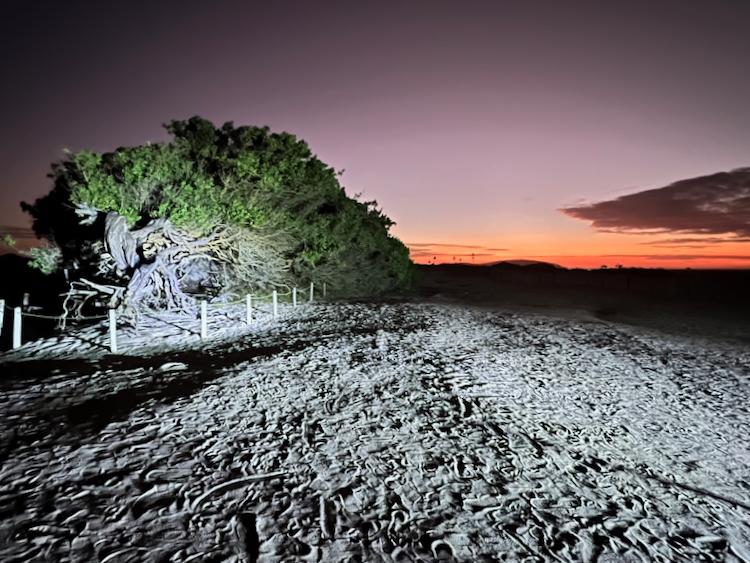 The tours in Jericoacoara, Brazil