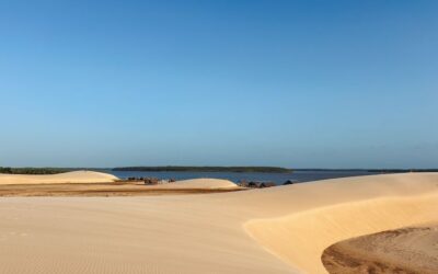 Parnaíba River Delta: The Ultimate 7 Things to Do & See