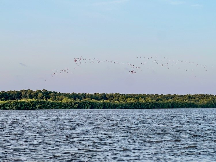 Best things to do in the Parnaíba River Delta