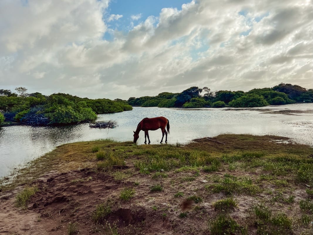 Trekking in Lençóis Maranhenses National Park