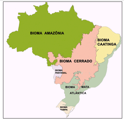 The Pantanal Region in Brazil