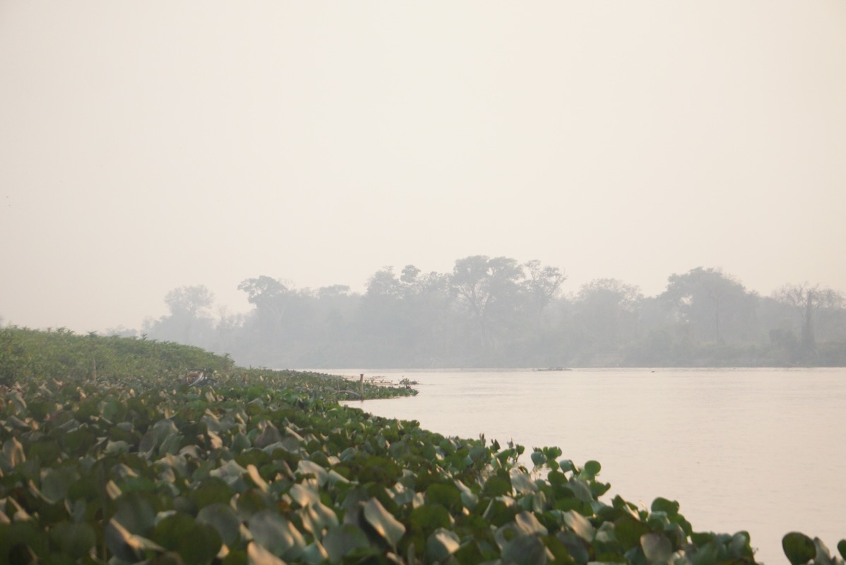 Wildfires in the Pantanal