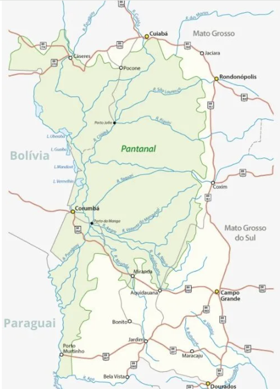 The Pantanal Region in Brazil